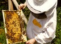 Beekeeper with honeycomb Royalty Free Stock Photo