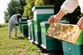 beekeeper with honeycomb frame near blurred