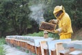 Beekeeper with honeycomb in hand