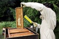 Beekeeper inspecting beehive Royalty Free Stock Photo