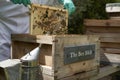 Beekeeper inspecting a frame of honey from hive