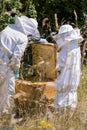 Beekeeper inspecting honeycomb with a child. Beekeeping in countryside.