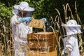 Beekeeper inspecting honeycomb with a child. Person in beekeeper suit taking honey from hive. Beekeeping in countryside