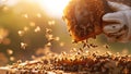 Beekeeper inspecting honeycomb filled with bees