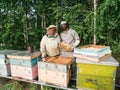 Beekeepers inspecting honeycomb frame at apiary at the summer day. Man working in apiary. Apiculture. Beekeeping concept