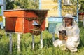 Beekeeper inspects the apiary hive of bees