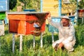 Beekeeper inspects the apiary hive of bees