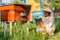 Beekeeper inspects the apiary hive of bees