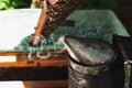 A beekeeper inspects the frame at the apiary. Beehives with bees