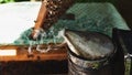 A beekeeper inspects the frame at the apiary. Beehives with bees