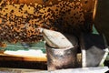 A beekeeper inspects the frame at the apiary. Beehives with bees