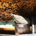 A beekeeper inspects the frame at the apiary. Beehives with bees