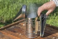 A beekeeper kindles a smoker to fumigate a beehive. Breeding bees in the apiary Royalty Free Stock Photo