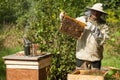 The beekeeper looks at the beehive. Honey collection and bee control. Royalty Free Stock Photo