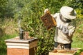 The beekeeper looks at the beehive. Honey collection and bee control. Royalty Free Stock Photo