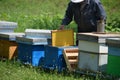 Beekeeper with new honey comb Royalty Free Stock Photo