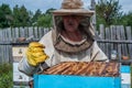 Beekeeper opens the beehouse`s cover to take honey out of it Royalty Free Stock Photo