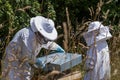 Beekeeper opens a hive to explain his work to a child. Beekeeper inspecting honeycomb from beehive banner. Person in beekeeper