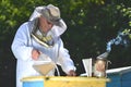 Beekeeper pouring syrup into a feeder