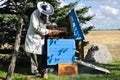 Beekeeper prepares harvest honey from the beehive Royalty Free Stock Photo