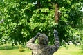 The beekeeper is preparing to remove a swarm of bees from the tree. A swarm of bees on the branch of a Linden tree. Colony of bees