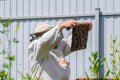 A beekeeper in protective clothing holds a frame with honeycombs Royalty Free Stock Photo