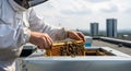 Urban Beekeeper Inspecting Honeycomb Frame on Rooftop with Cityscape Background Royalty Free Stock Photo