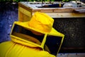 beekeeper with protective suit controls hive with bees