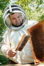 A beekeeper in a protective suit shakes the honey frame from bees with a brush. Pumping honey. Apiculture. Beekeeper Royalty Free Stock Photo