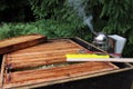 Beekeeper`s tools on a beehive