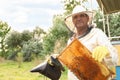 Beekeeper with smokepot and honey frame at apiary Royalty Free Stock Photo