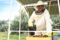 Beekeeper with smokepot near hive at apiary Royalty Free Stock Photo