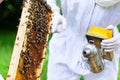 Beekeeper with smoker controlling beeyard and bees Royalty Free Stock Photo