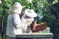Beekeeper Smoker smokes white smoke. Beekeeper work at the apiary.