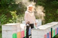 A beekeeper smokes bees in the process of collecting honey in wooden colored beehives. Beekeeping tool Royalty Free Stock Photo