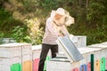 A beekeeper smokes bees in the process of collecting honey in wooden colored beehives. Beekeeping tool Royalty Free Stock Photo