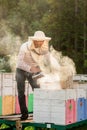 A beekeeper smokes bees in the process of collecting honey in wooden colored beehives. Beekeeping tool Royalty Free Stock Photo