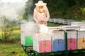 A beekeeper smokes bees in the process of collecting honey in wooden colored beehives. Beekeeping tool Royalty Free Stock Photo