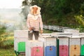 A beekeeper smokes bees in the process of collecting honey in wooden colored beehives. Beekeeping tool Royalty Free Stock Photo