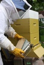Beekeeper smoking bees
