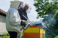 Two beekeepers inspecting and working in apiary on sunny spring day