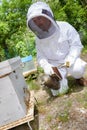 beekeeper smoking hive