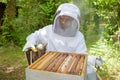 beekeeper smoking hive