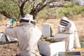 a beekeeper with his hands up while two bees are at work