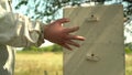 A beekeeper with a swollen palm due to a bee sting. A young man in the field against the background of a beehive in the Royalty Free Stock Photo