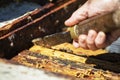 Beekeeper takes the honeycomb with bees and honey from the hive with a tool, Apitherapy