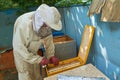 Beekeeper takes out frame