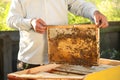 Beekeeper taking frame from hive at apiary, closeup