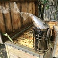 Beekeeper tending his beehives with his vintage antique smoker