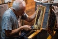 Beekeeper uncapping honey cells on the frames with a uncapping comb. Royalty Free Stock Photo